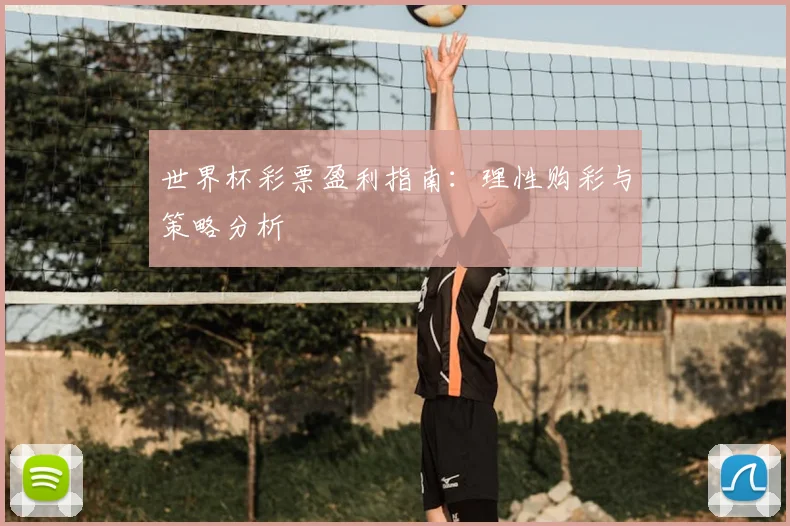 世界杯彩票盈利指南:理性购彩与策略分析