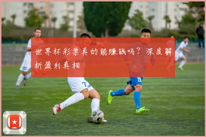 世界杯彩票真的能赚钱吗?深度解析盈利真相
