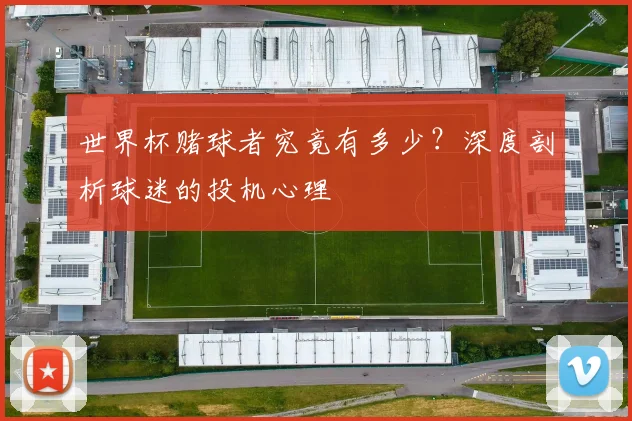 世界杯赌球者究竟有多少?深度剖析球迷的投机心理