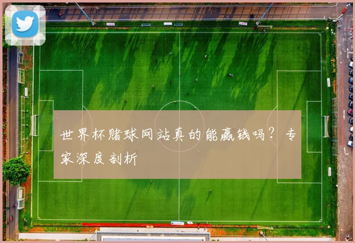 世界杯赌球网站真的能赢钱吗？专家深度剖析